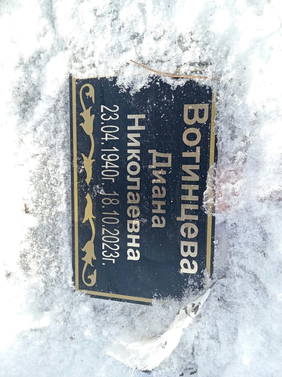 Вотинцева Диана Николаевна
