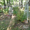 Гиневская Евгения Ефимовна