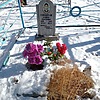 Сушильников Андрей Сергеевич