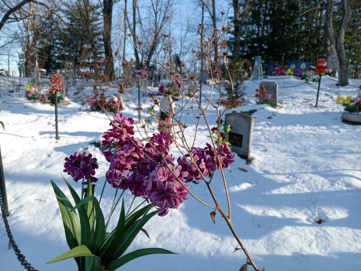 Ященко Александра Васильевна