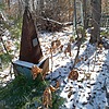 Казакова Людмила Серафимовна