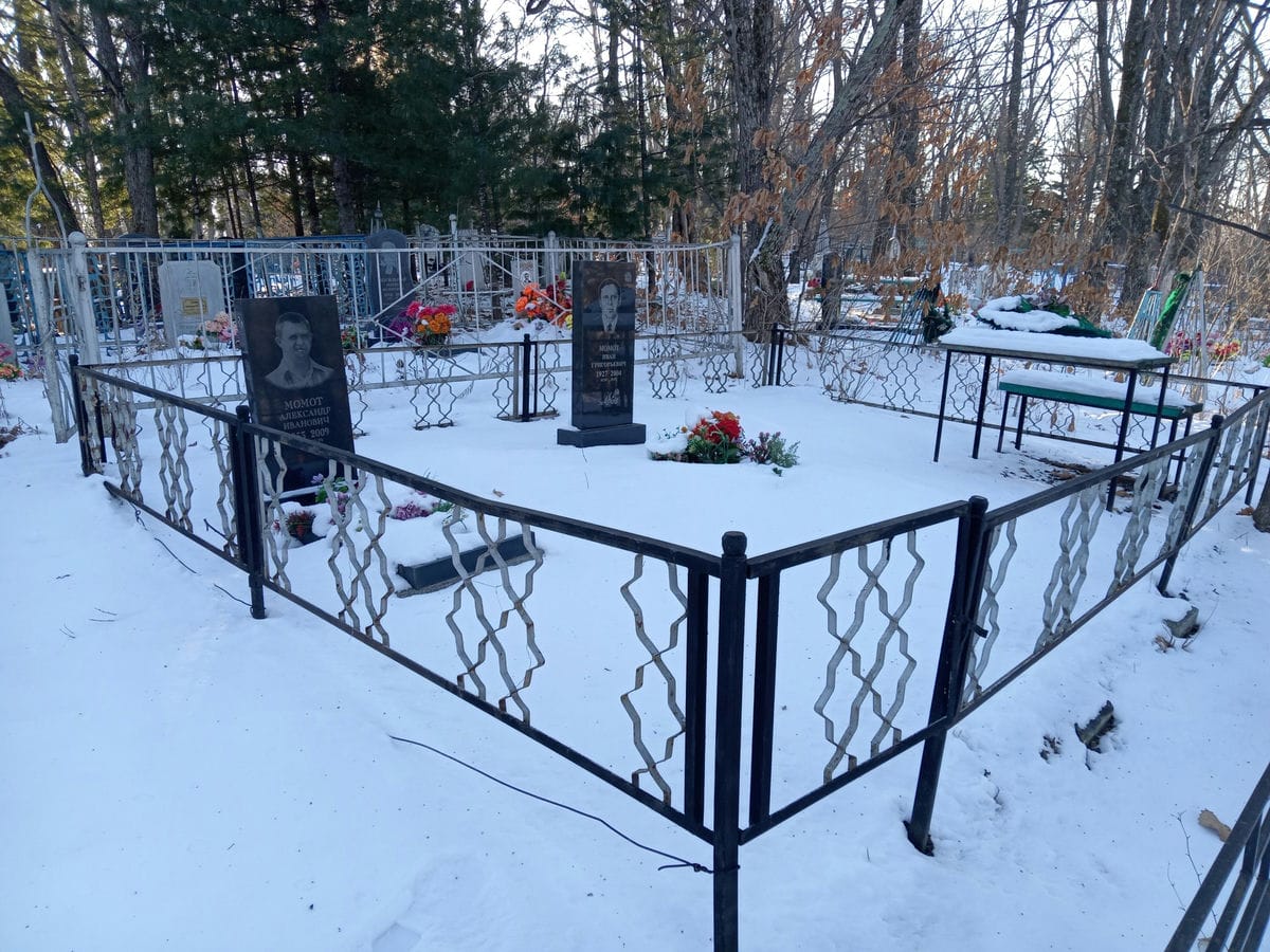 Момот Александр Иванович