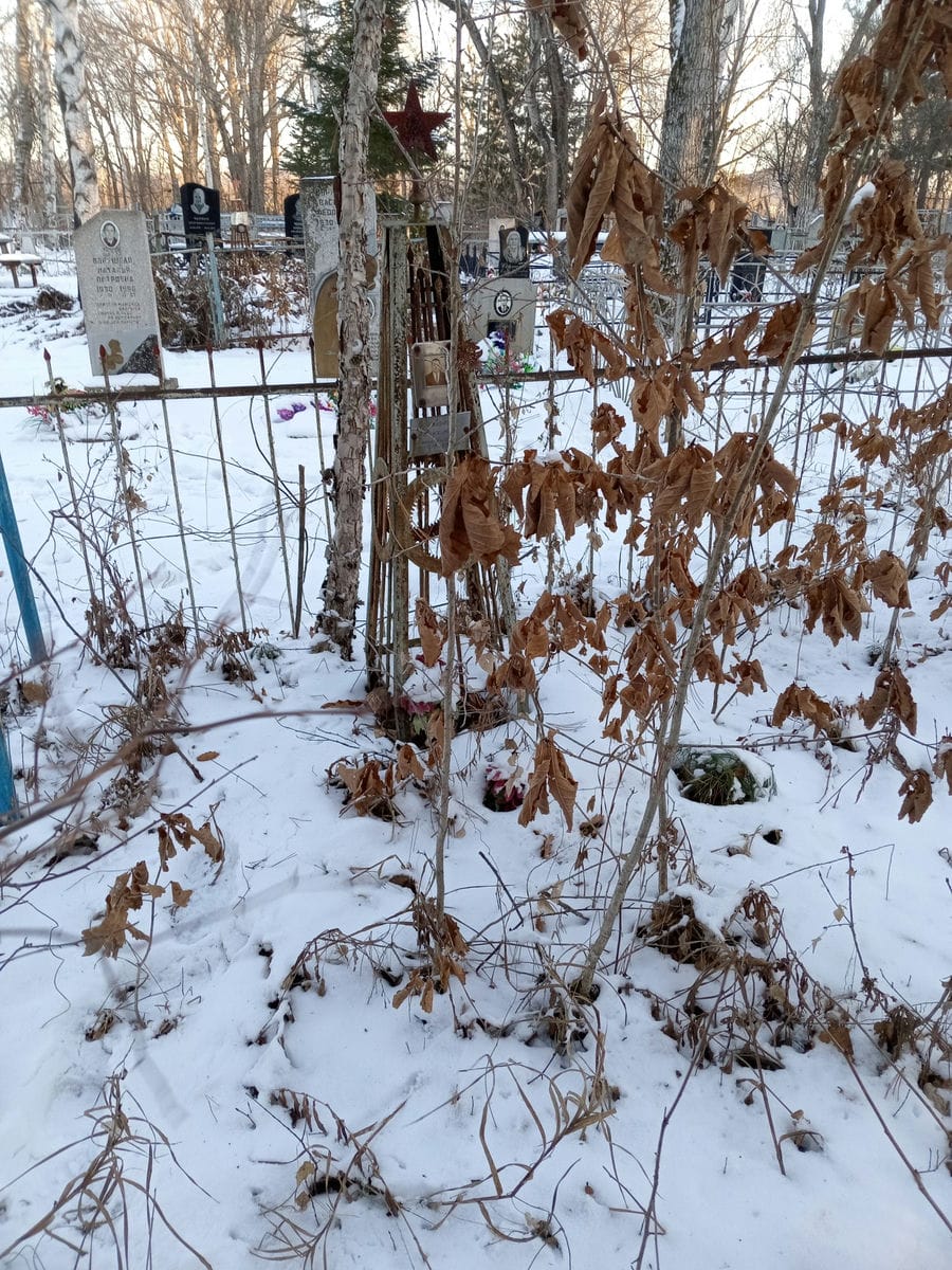 5c7b435f-76c0-4a95-9224-4c5d17030ede Исайко Николай Дмитриевич