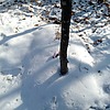 Неизвестно Неизвестно Неизвестно