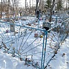 Воробей Алексей Кузьмич