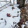 Неизвестно Неизвестно Неизвестно