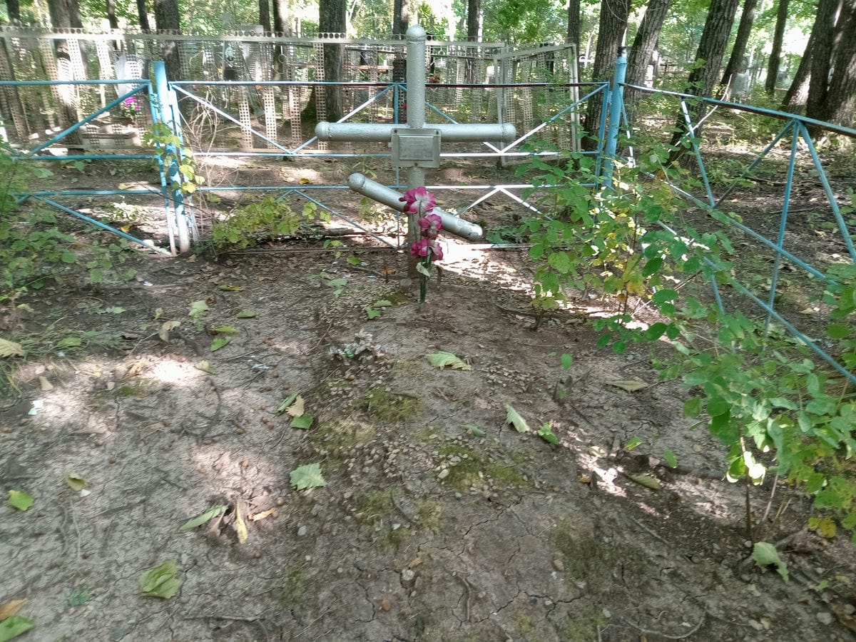 Бачинский Владимир Михайлович