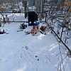 Курчина Валентина Алексеевна