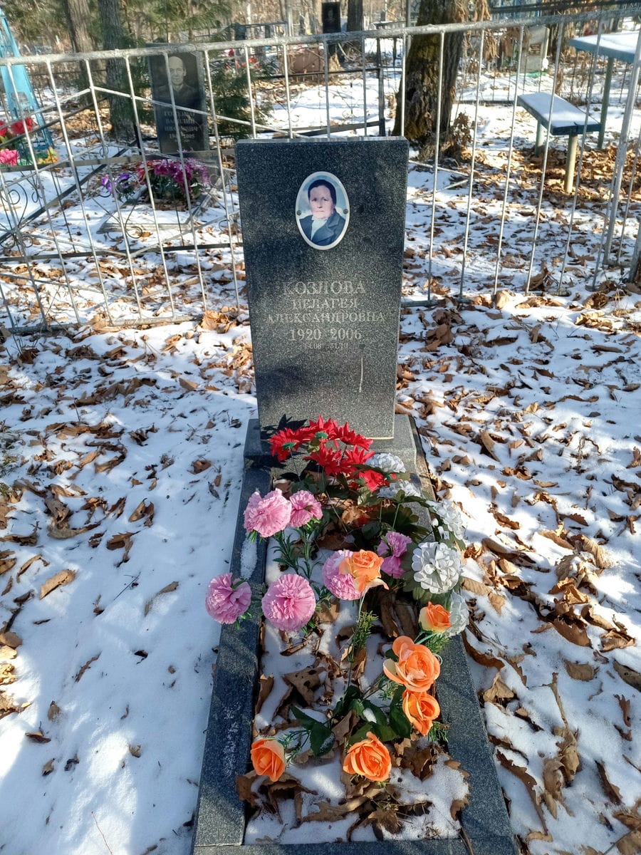64d2b8b9-a75a-4141-8aac-9c6d09c0503f Козлова Пелагея Александровна