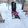 Раков Василий Александрович