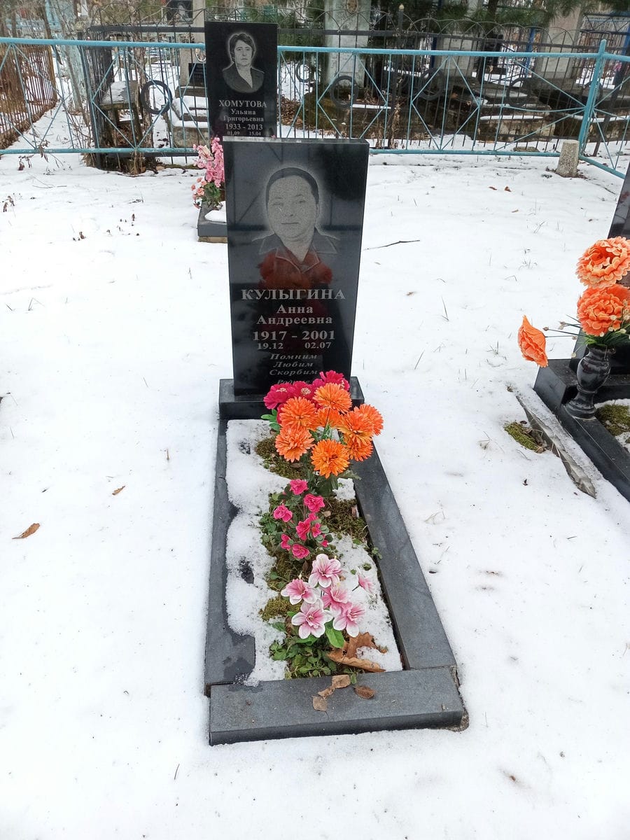 67c56120-1485-45c6-aad3-d57d5171472c Кулыгина Анна Андреевна