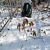 Неизвестно Неизвестно Неизвестно