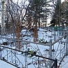 Добровольская Анна Матвеевна