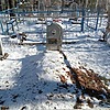 Кривобок Мария Игнатьевна