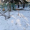 Неизвестно Неизвестно Неизвестно