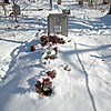 Путинцев Алексей Александрович