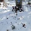 Бочаров Алексей Митрофанович