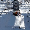 Кашапова Фаина Петровна