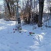 Соломина Анастасия Дмитриевна