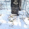 Стефанишин Владимир Николаевич