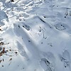 Неизвестно Неизвестно Неизвестно