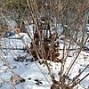 Мартынов Александр Николаевич