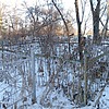 Кривошеева Екатерина Севастьяновна