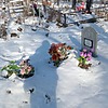 Кудлай Татьяна Григорьевна