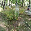 Гиневская Евгения Ефимовна