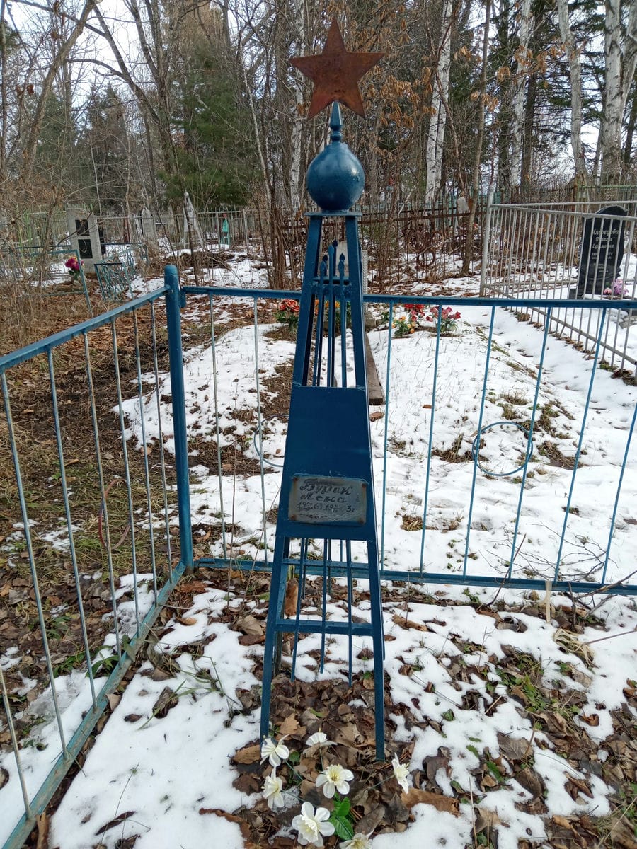 760f6006-374d-4f4d-9ac9-d9e020ce752d Бурик Лена Неизвестно