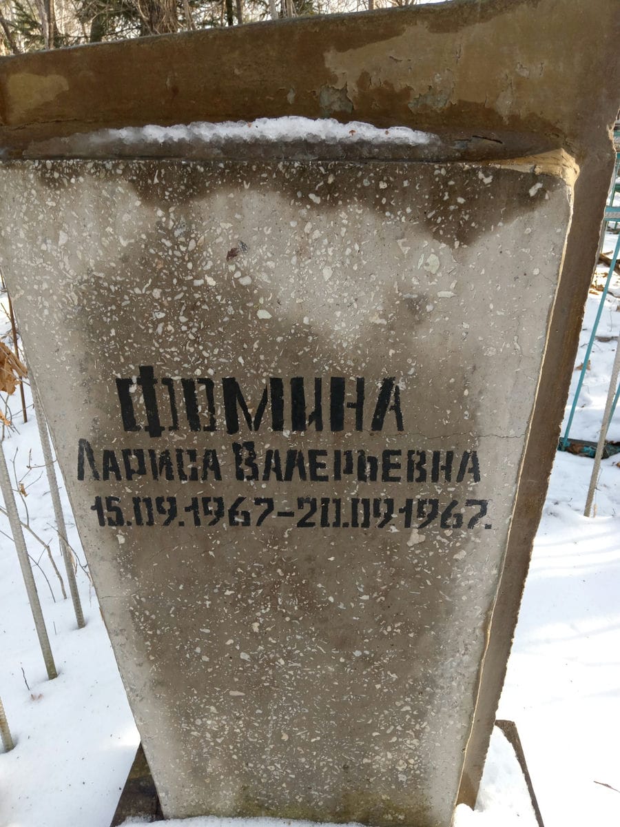 Фомина Лариса Валерьевна
