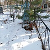 Неизвестно Неизвестно Неизвестно