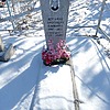 Дергачева Александра Ильинична