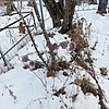 Неизвестно Неизвестно Неизвестно