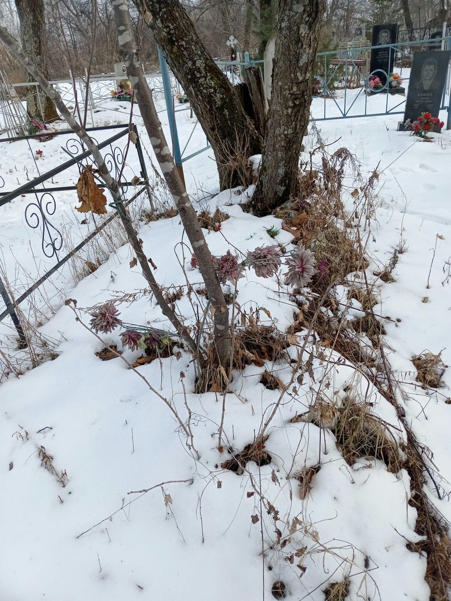 7753bddd-0c02-46c4-b230-841f80d1fdb3 Неизвестно Неизвестно Неизвестно