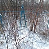 Евстигнеев Александр Павлович