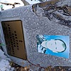 Никулин Сергей Александрович