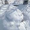 Вотинцева Диана Николаевна