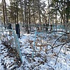 Стефанишин Владимир Николаевич