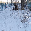 Неизвестно Неизвестно Неизвестно