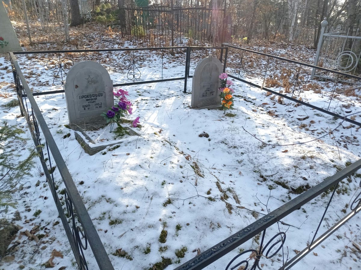 Баранова Дарья Петровна