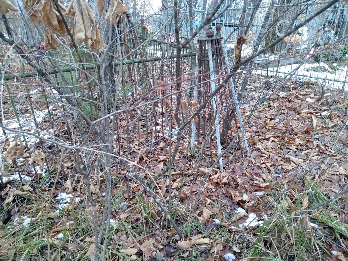 7e626d58-259e-41f0-bce5-5c50a4cd19ad Неизвестно Неизвестно Неизвестно