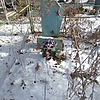 Неизвестно Неизвестно Неизвестно