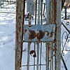 Неизвестно Неизвестно Неизвестно