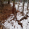 Лихоман Владимир Степанович