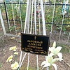 Заровный Алексей Корнеевич