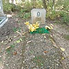 Шпеко Тамара Яковлевна