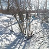 Шаповалова Мария Петровна