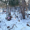 Хомутов Алексей Семенович