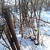 Домничев Григорий Кузьмич